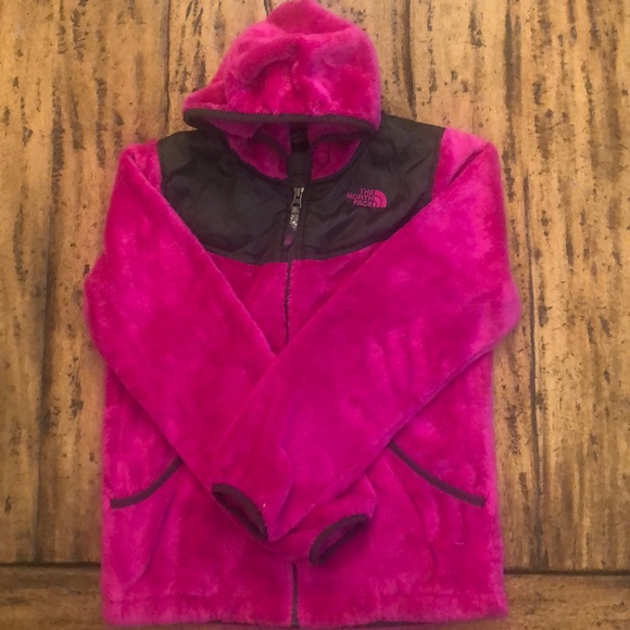 The North Face Other - North Face Jacket Girls 14 16 Large Excellent!